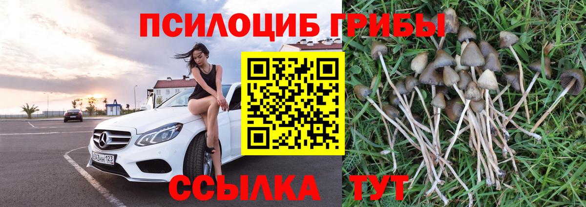Псилоцибиновые грибы Magic Shrooms Сухой Лог